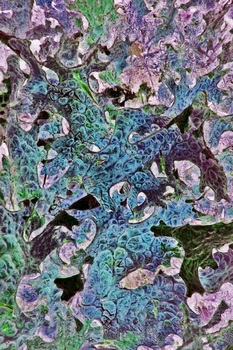 A 91B